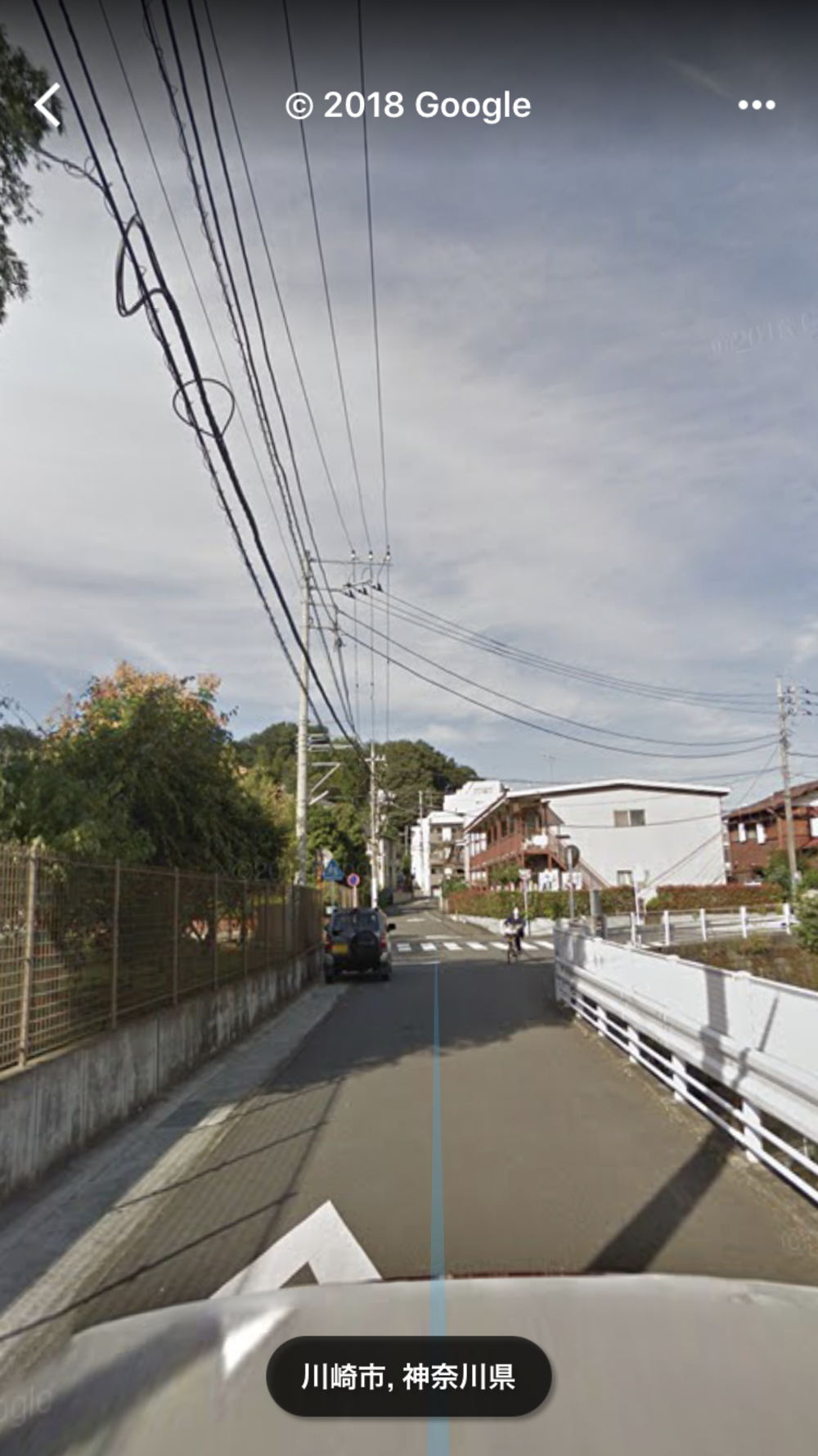 片平→柿生→向ケ丘遊園の写真4