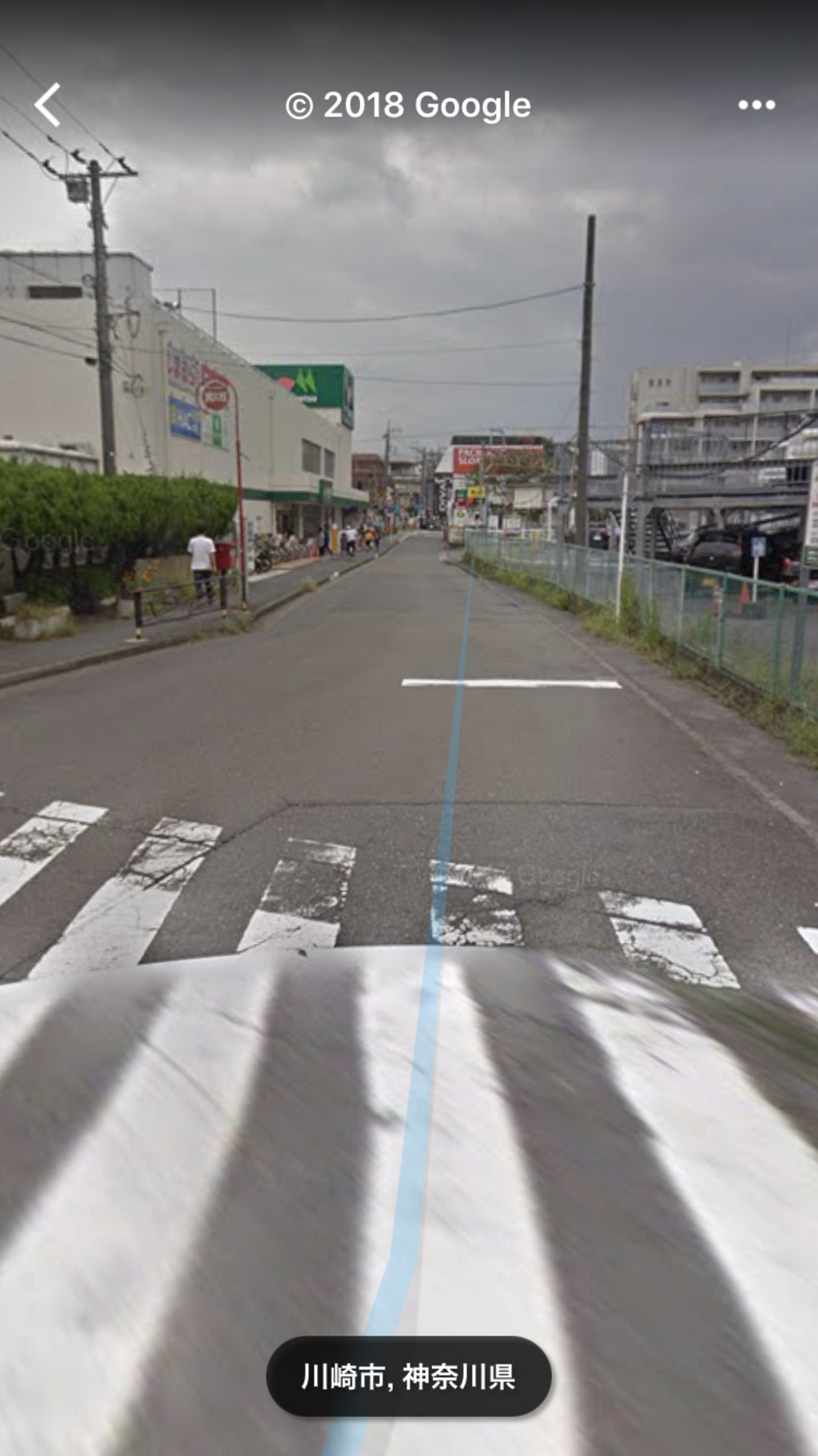 片平→柿生→向ケ丘遊園の写真6