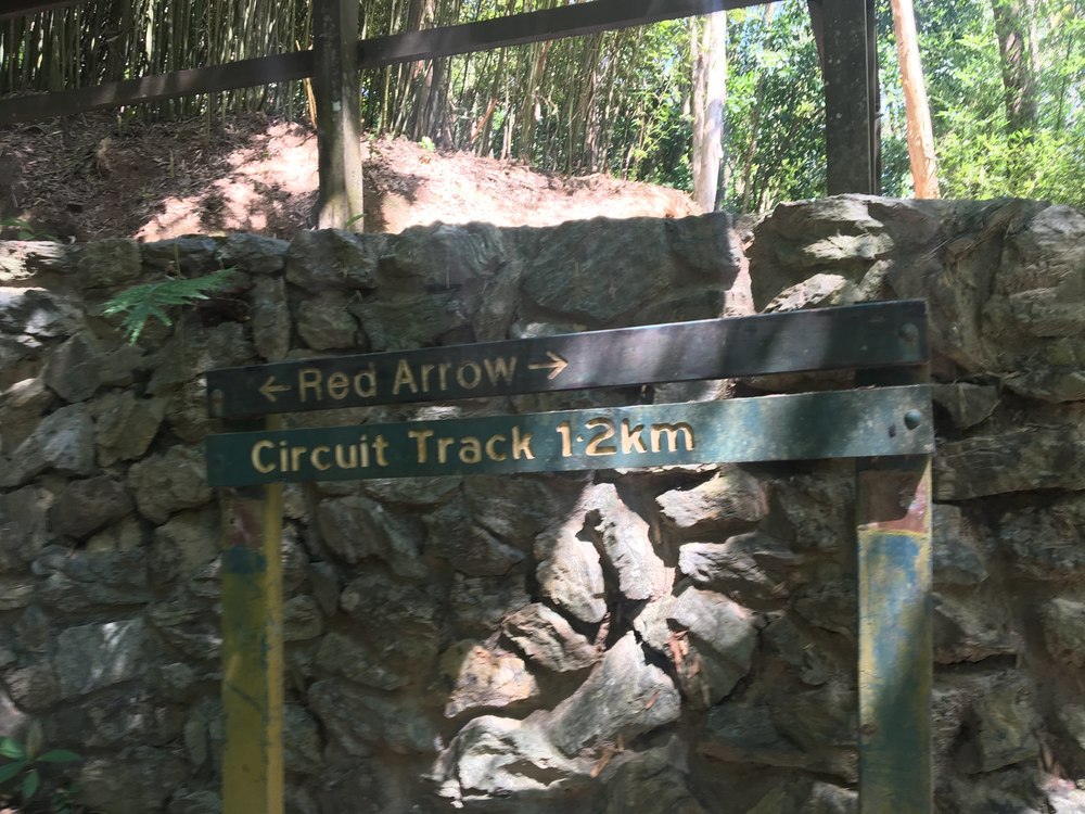 ケアンズ・エスプラネード〜ボタニックガーデンの写真3