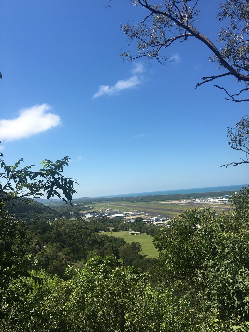 ケアンズ・エスプラネード〜ボタニックガーデンの写真4