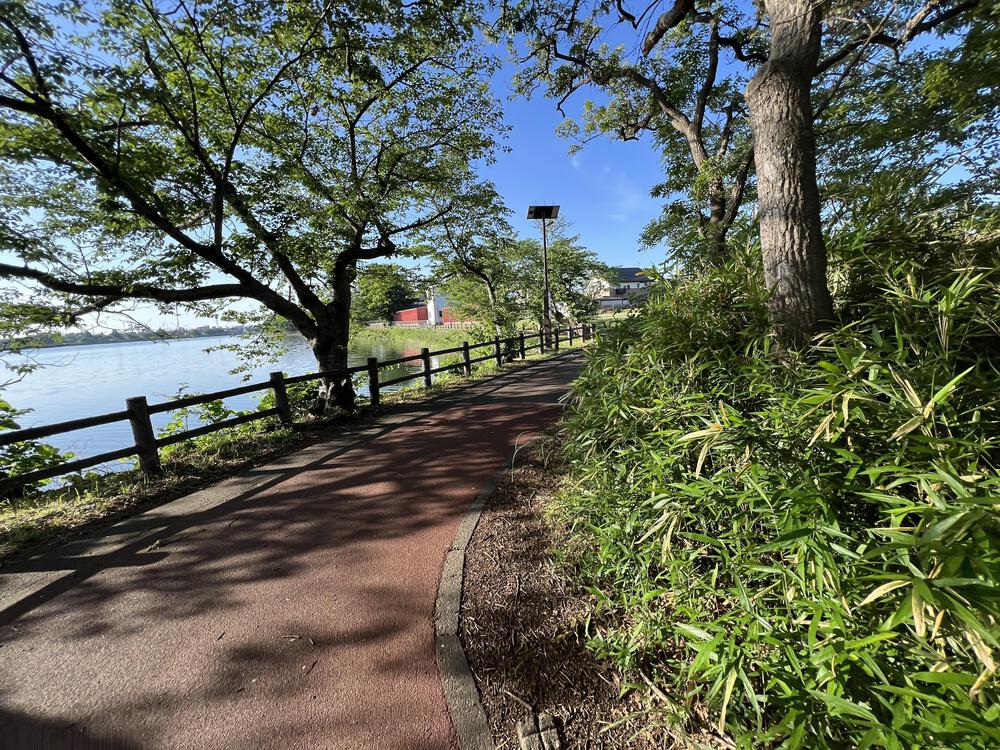 毎週パークランが開催される砂沼の周回コースの写真5