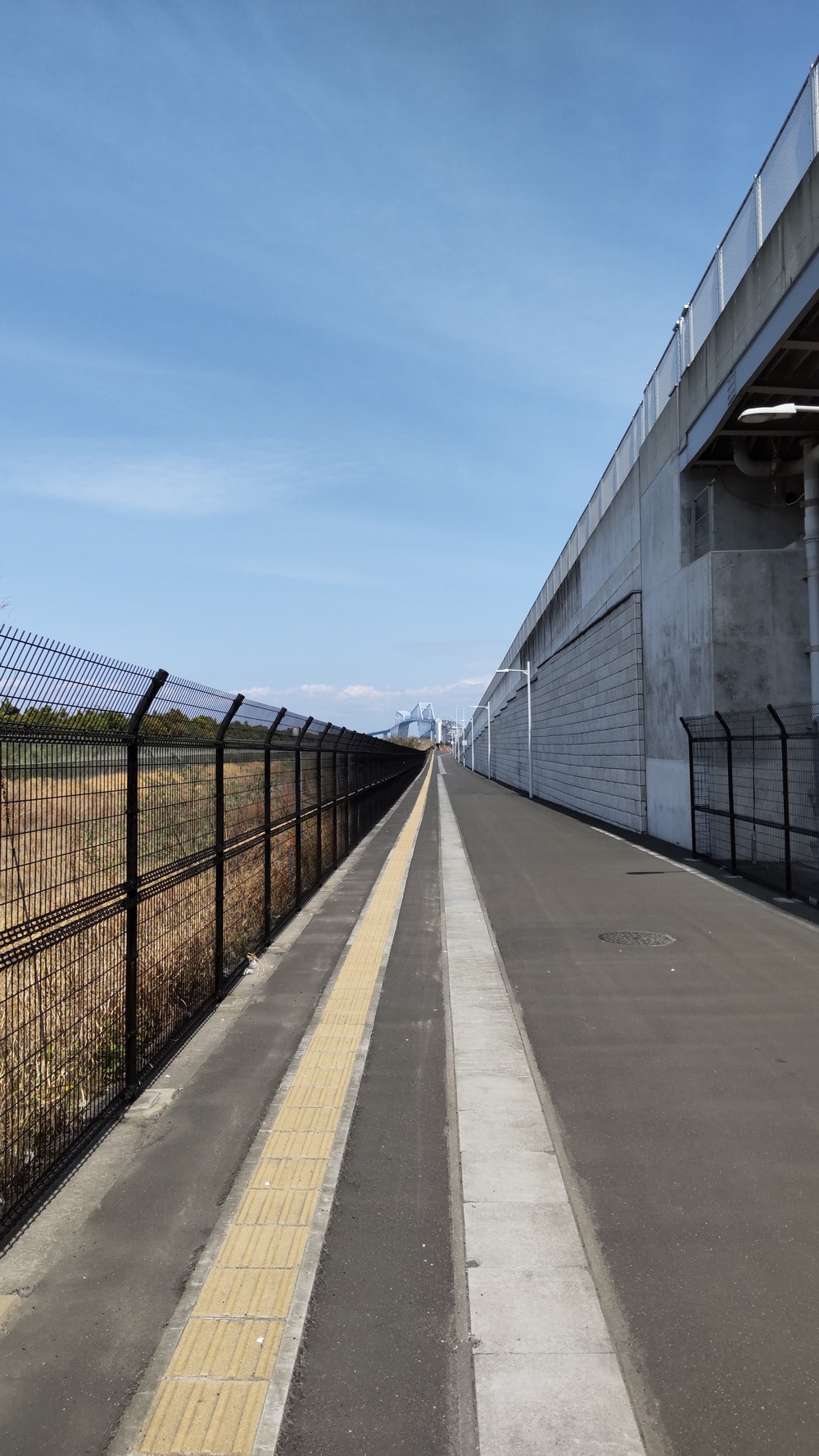 2025年春開通　飛行機と並走も⁉️　東京ゲートブリッジランニングの写真4