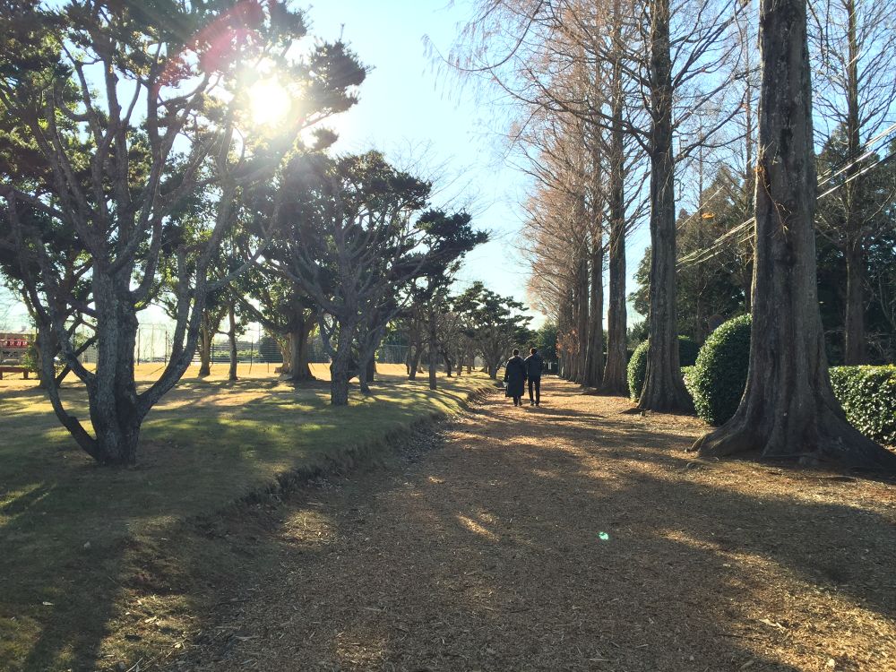 リソル生命の森　千葉の写真3