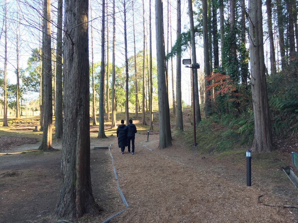 リソル生命の森　千葉の写真4