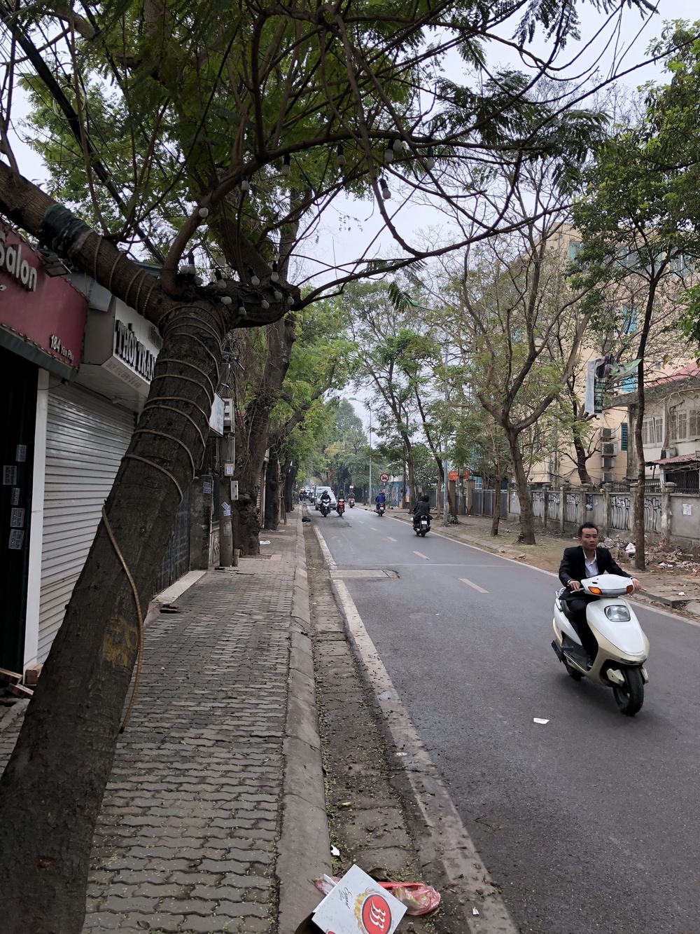 【ベトナム】ハノイで最も美しい湖のランの写真3