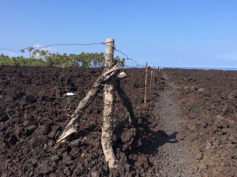 ハワイ島「ケアワイキ・ベイ」往復コースの写真7