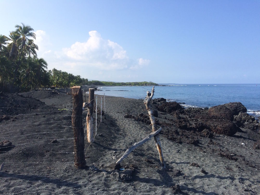 ハワイ島「ケアワイキ・ベイ」往復コースの写真8