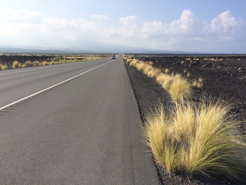ハワイ島「ケアワイキ・ベイ」往復コースの写真9