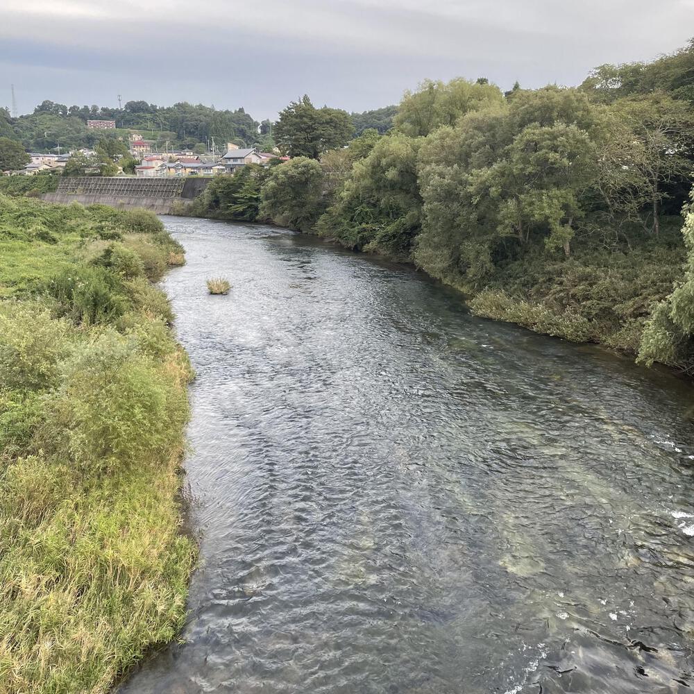 夕陽追いかけ磐井川、展望台への激坂悶絶ジョグ8キロの写真15