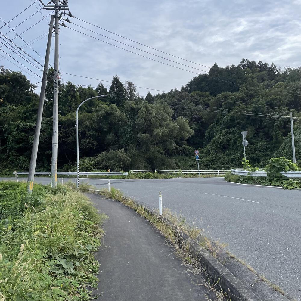 夕陽追いかけ磐井川、展望台への激坂悶絶ジョグ8キロの写真20