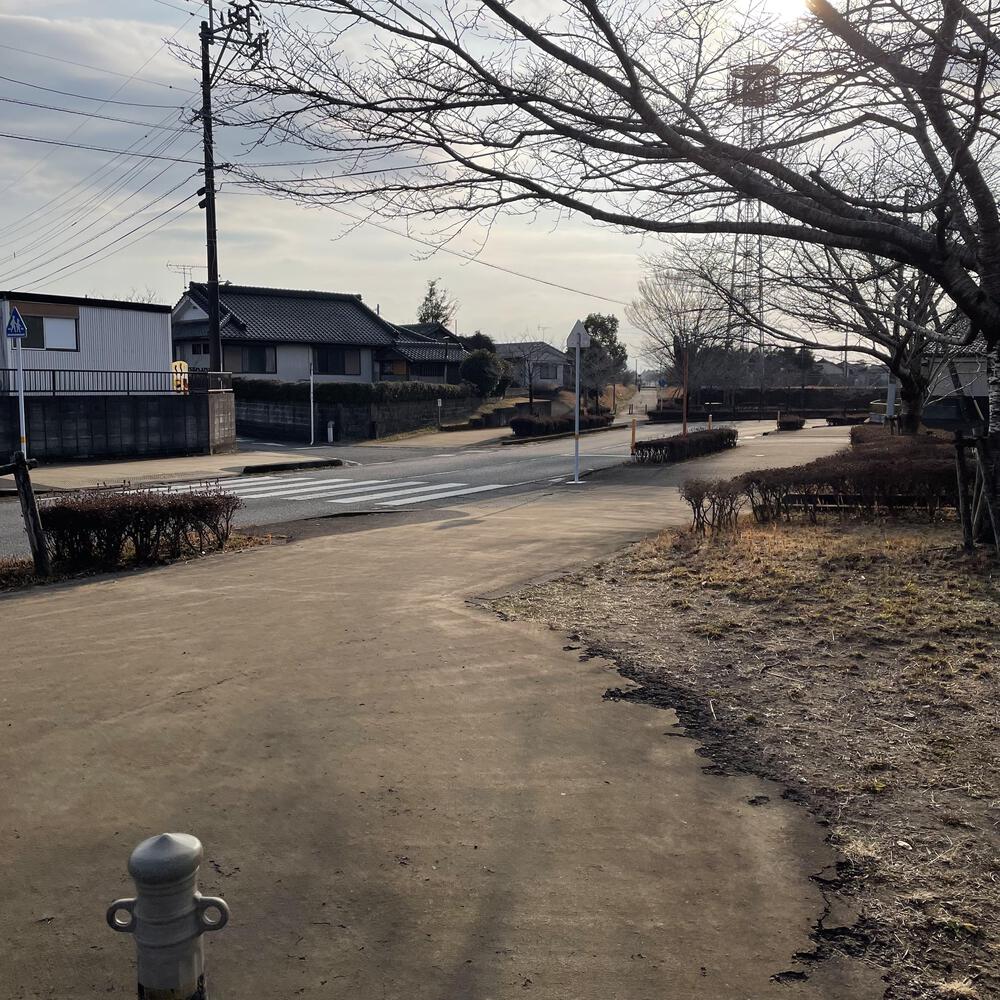 旧国鉄志布志線跡を往く | ラントリップ