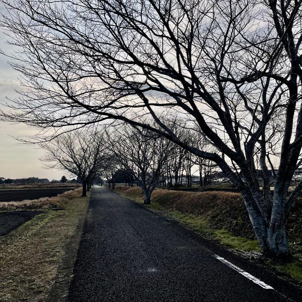 旧国鉄志布志線跡を往くの写真19