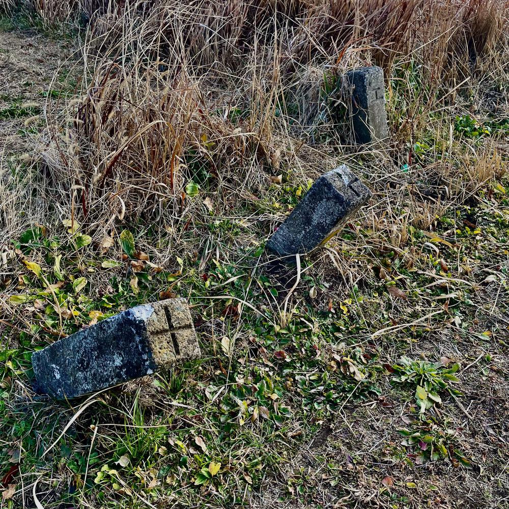 旧国鉄志布志線跡を往くの写真21