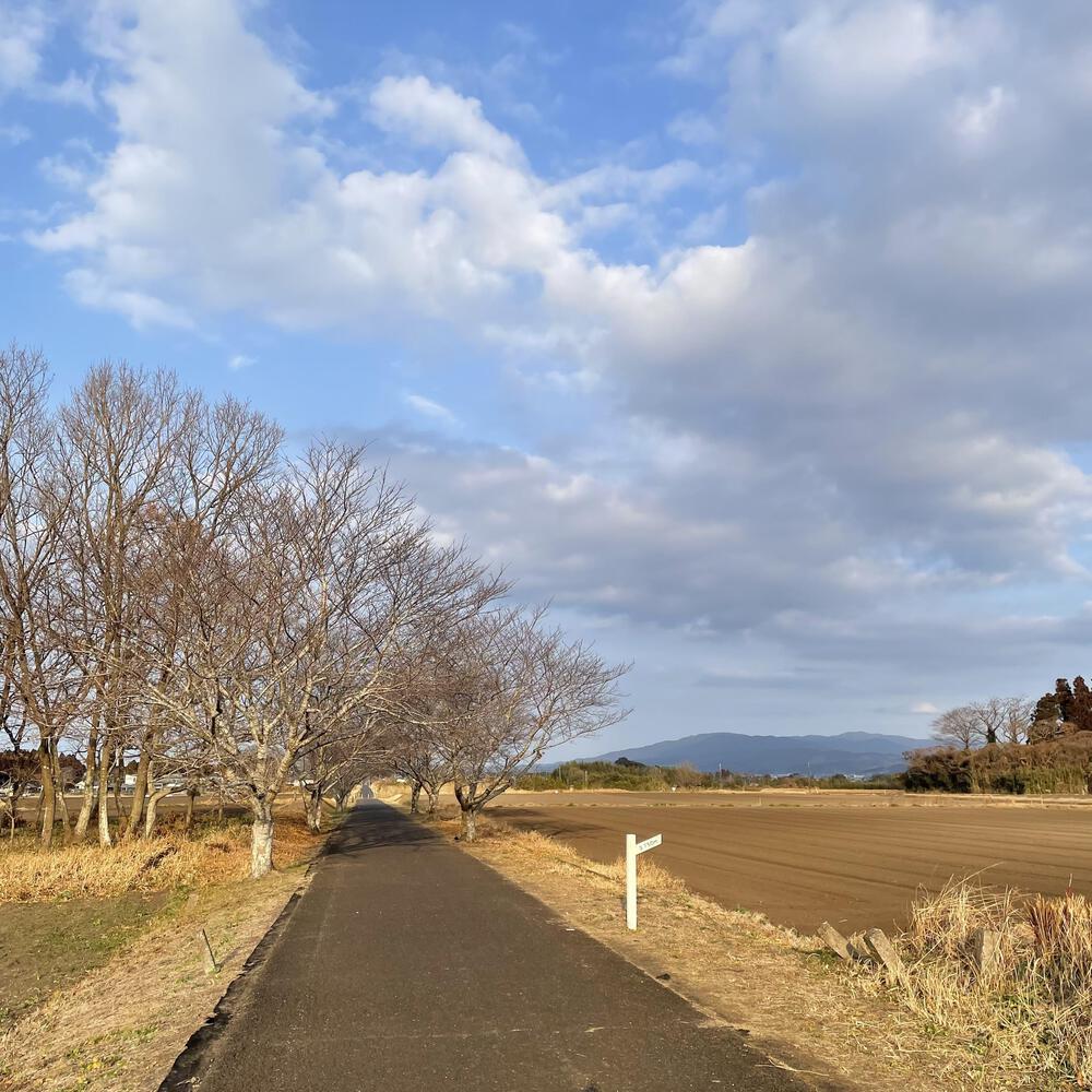 旧国鉄志布志線跡を往く | ラントリップ