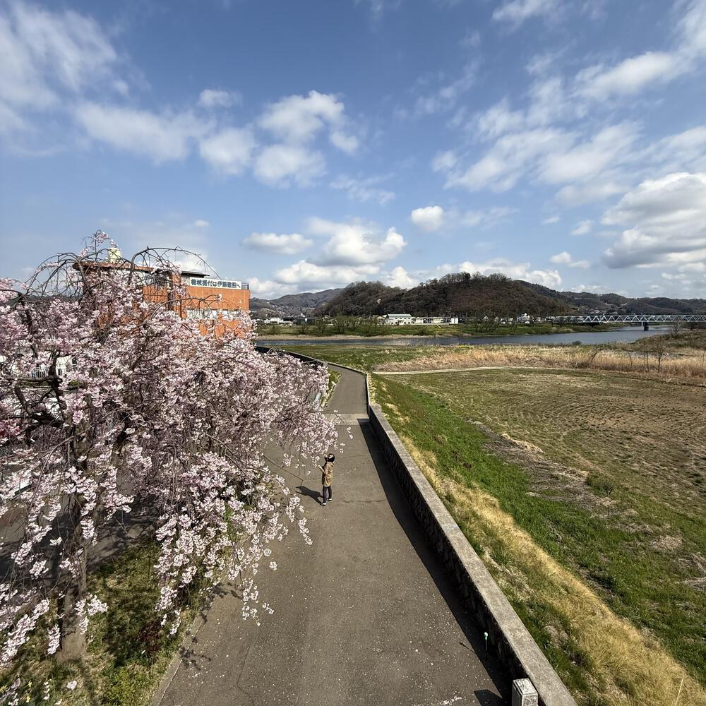 【福島駅西口発】お花見のんびり阿武隈川ジョグの写真10