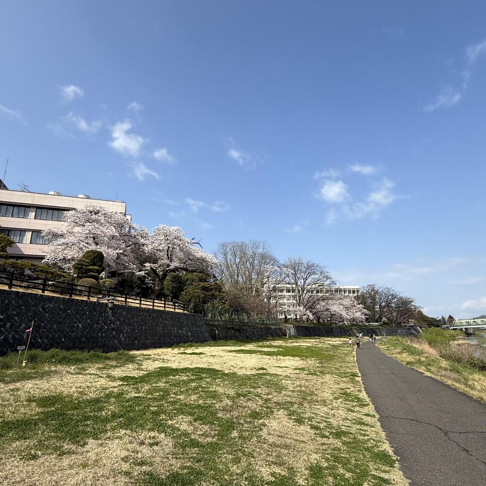 【福島駅西口発】お花見のんびり阿武隈川ジョグの写真12