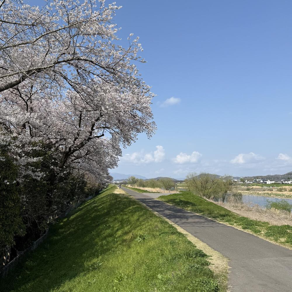 【福島駅西口発】お花見のんびり阿武隈川ジョグの写真17