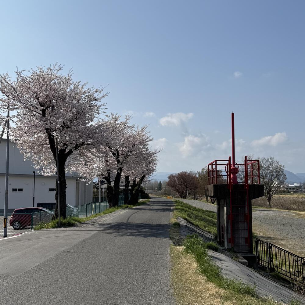 【福島駅西口発】お花見のんびり阿武隈川ジョグの写真22