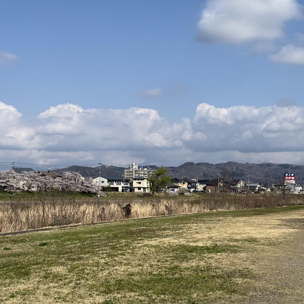 【福島駅西口発】お花見のんびり阿武隈川ジョグの写真23