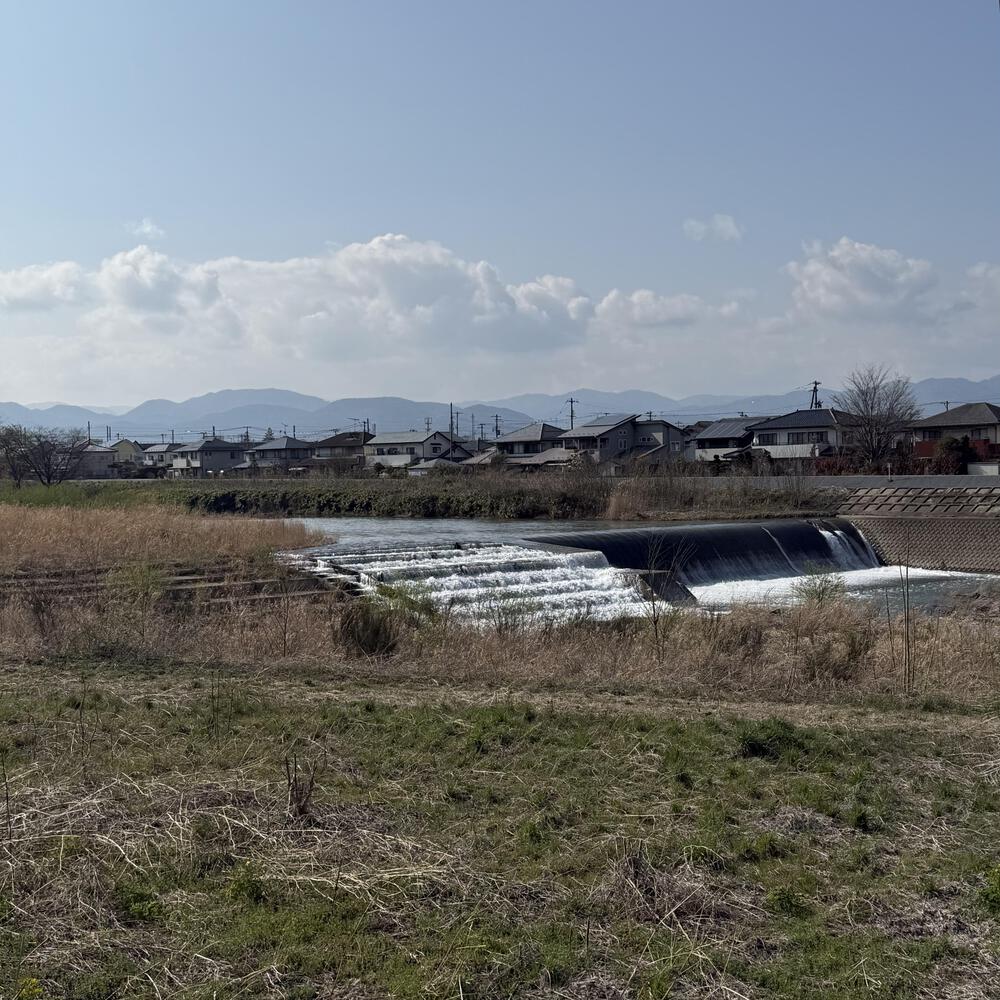 【福島駅西口発】お花見のんびり阿武隈川ジョグの写真27