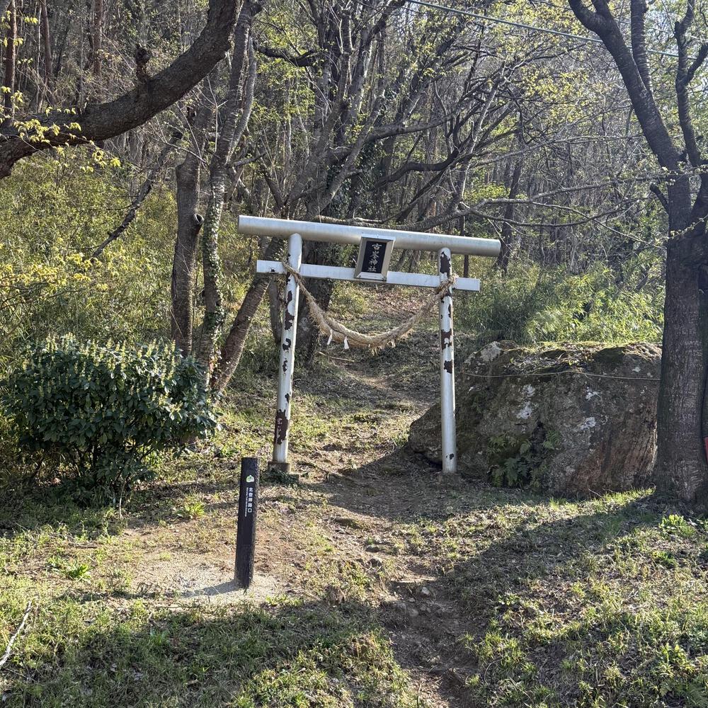 【福島駅西口発】お花見のんびり阿武隈川ジョグの写真28