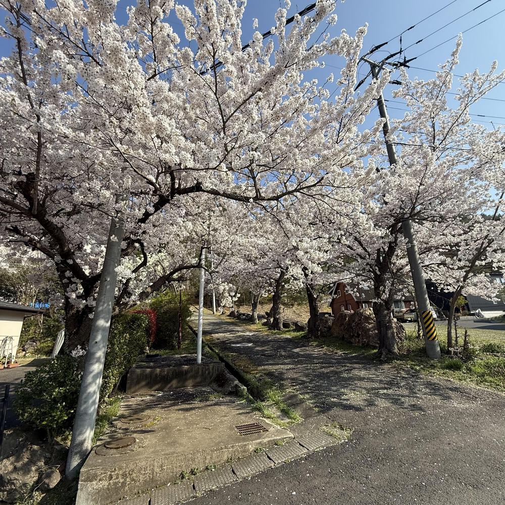 【福島駅西口発】お花見のんびり阿武隈川ジョグの写真29