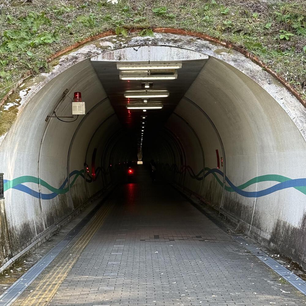 【福島駅西口発】お花見のんびり阿武隈川ジョグの写真34