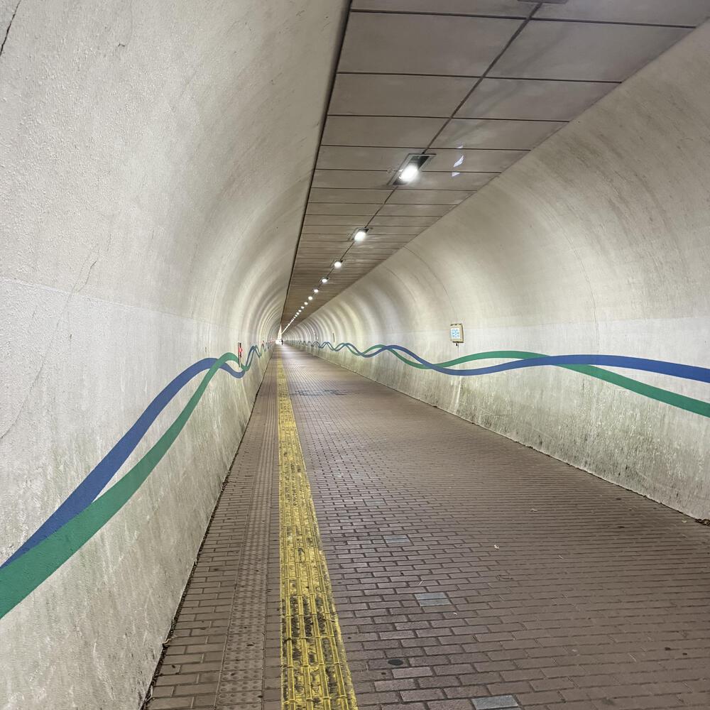 【福島駅西口発】お花見のんびり阿武隈川ジョグの写真35