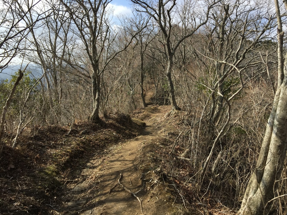 千葉の秘境　高宕山の写真3