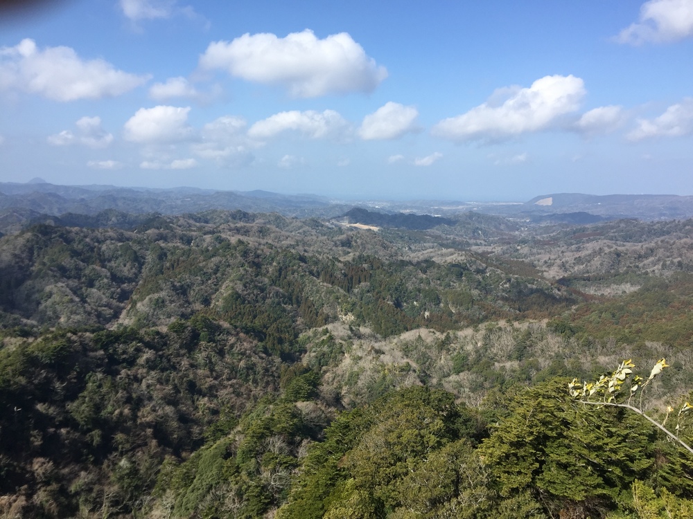 千葉の秘境　高宕山の写真7
