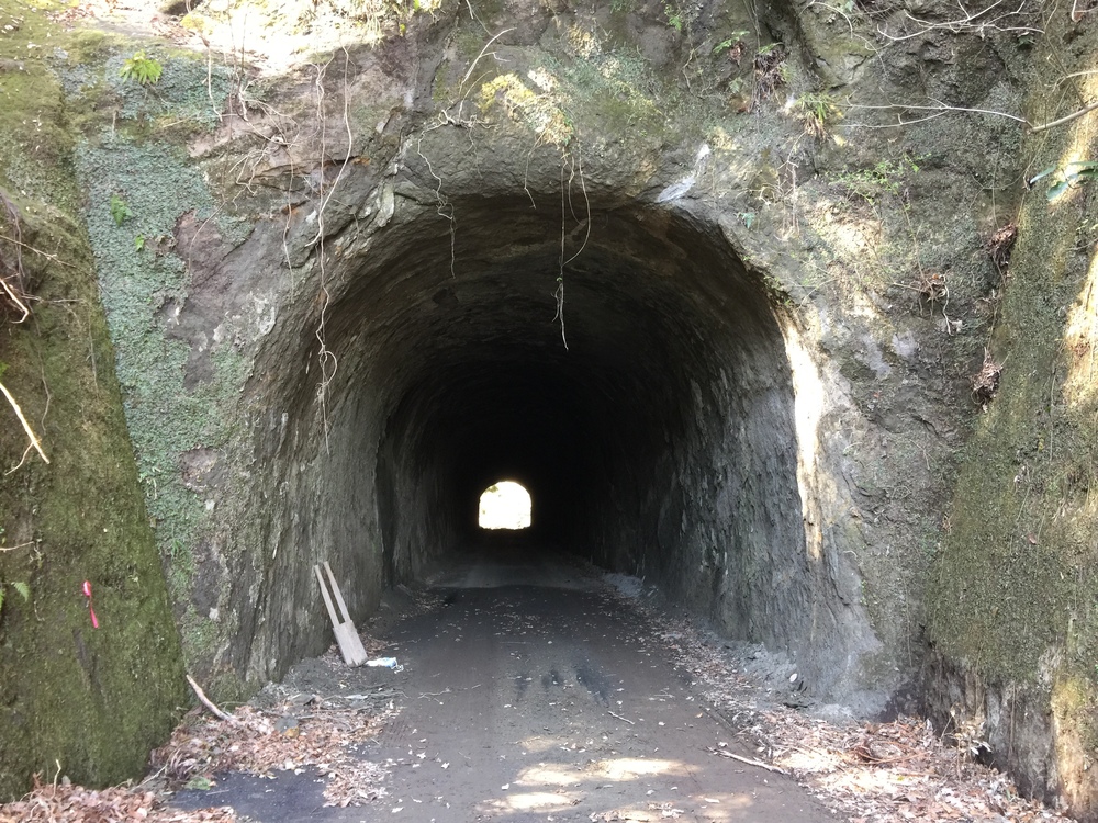 千葉の秘境　高宕山の写真9