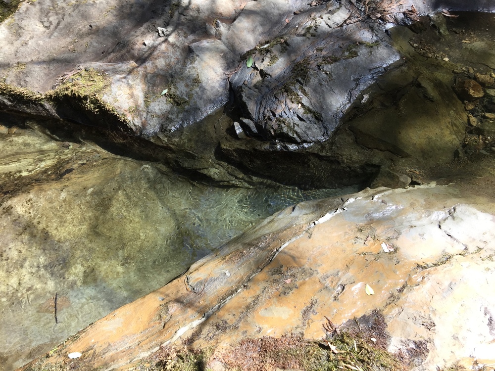 千葉の秘境　高宕山の写真11