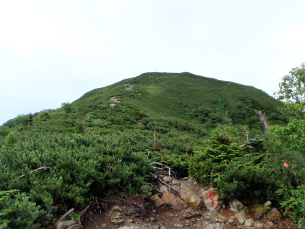 アルプスデビューにおすすめコース！　仙丈ケ岳の写真3