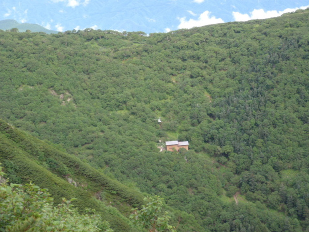 アルプスデビューにおすすめコース！　仙丈ケ岳の写真4