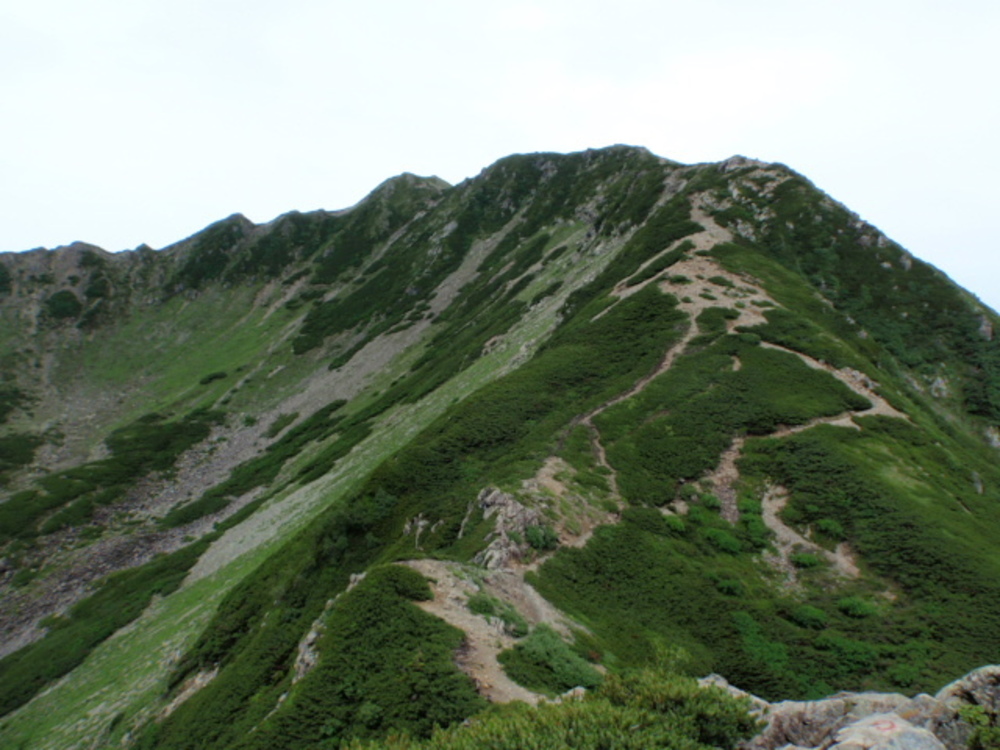 アルプスデビューにおすすめコース！　仙丈ケ岳の写真8