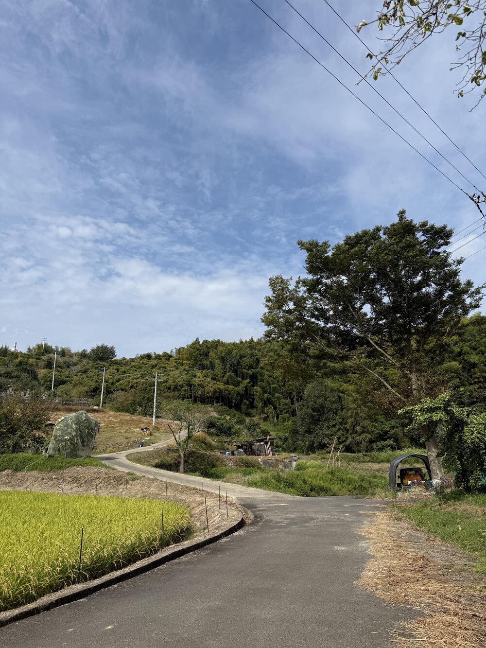 周回を　飽きたら外に　出てみよう🏃‍♂️‍➡️の、４.５㌔の写真7