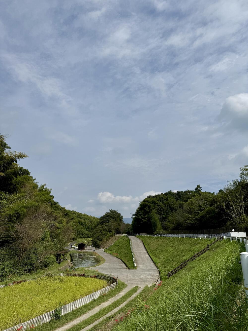 周回を　飽きたら外に　出てみよう🏃‍♂️‍➡️の、４.５㌔の写真8