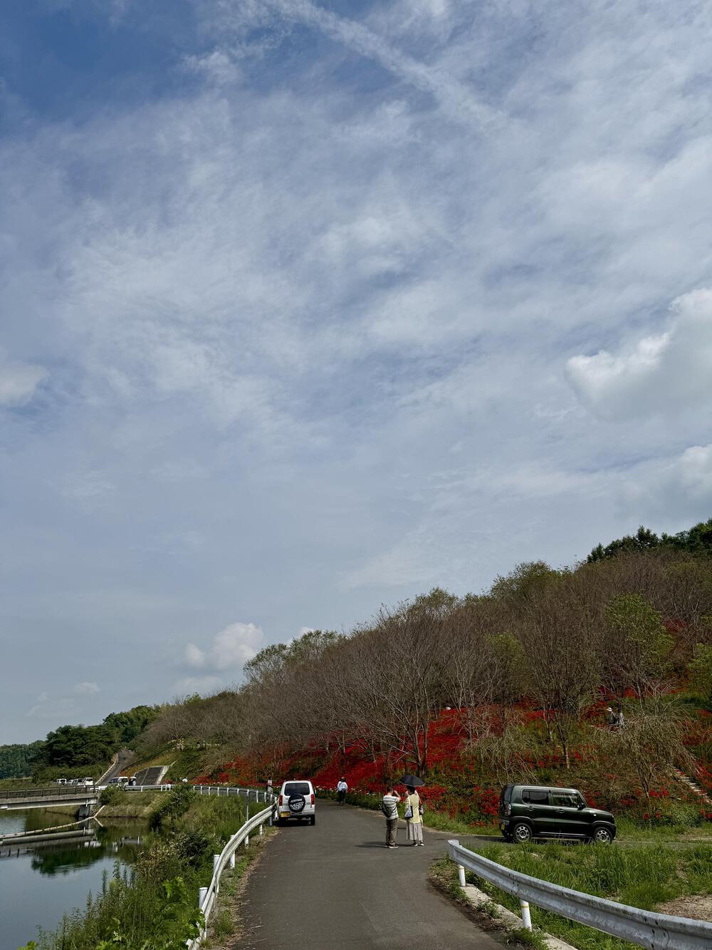 周回を　飽きたら外に　出てみよう🏃‍♂️‍➡️の、４.５㌔の写真9