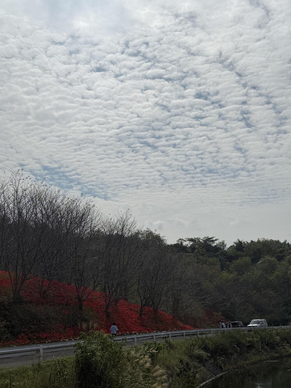 周回を　飽きたら外に　出てみよう🏃‍♂️‍➡️の、４.５㌔の写真10