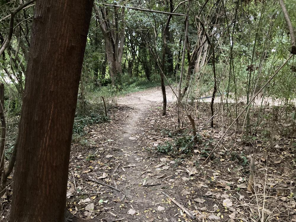 万博記念公園 トレイルコースの写真4