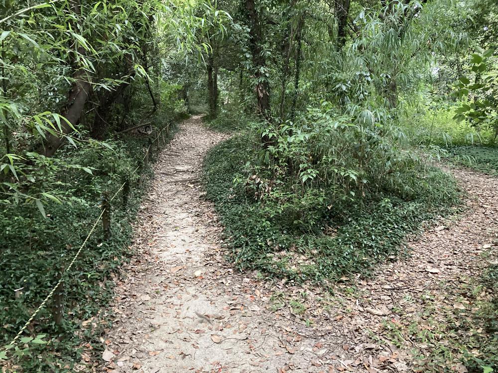 万博記念公園 トレイルコースの写真5