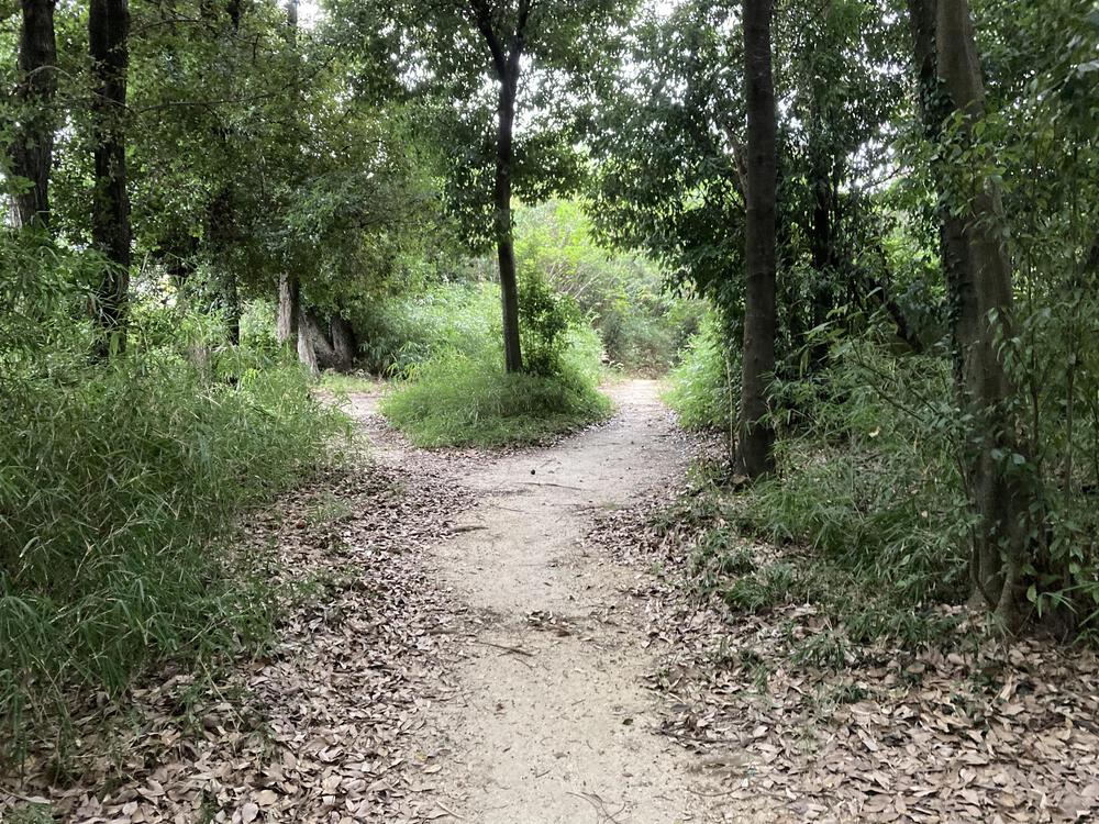 万博記念公園 トレイルコースの写真6