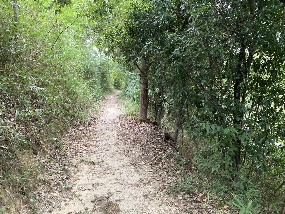 万博記念公園 トレイルコースの写真7