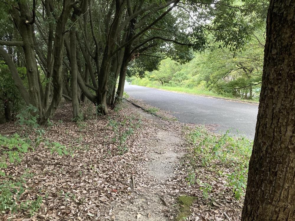 万博記念公園 トレイルコースの写真8