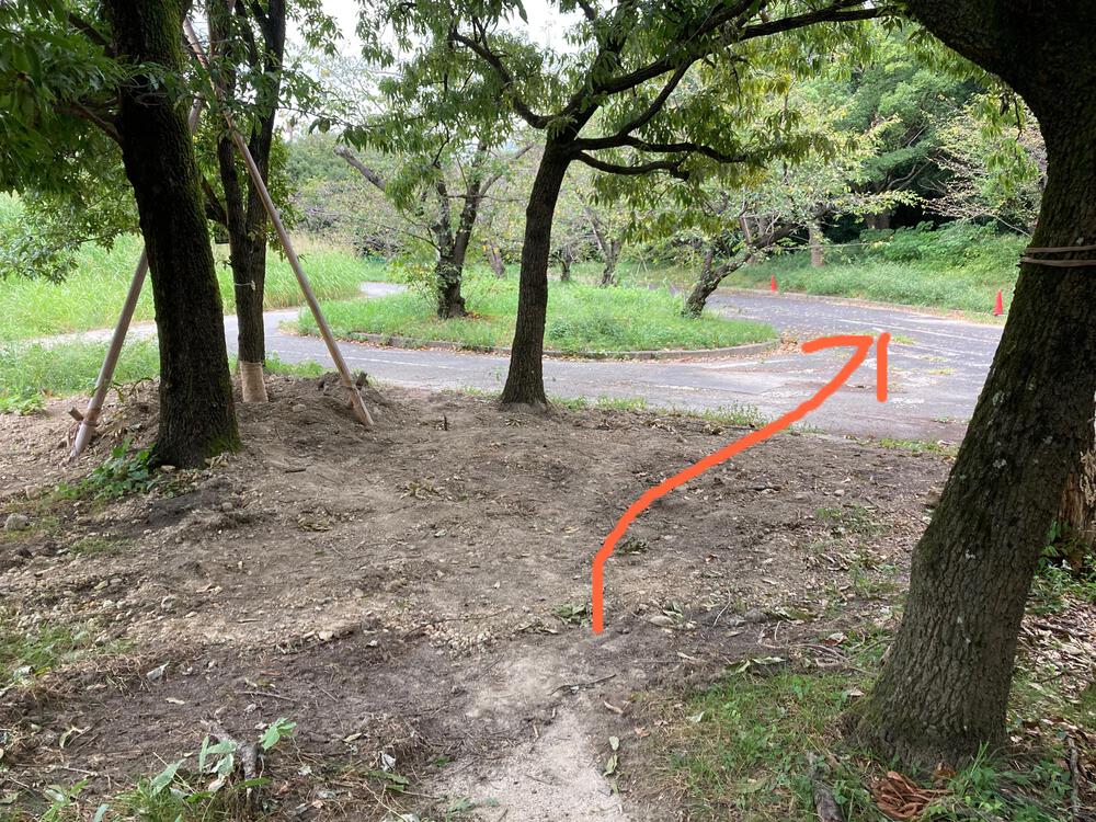 万博記念公園 トレイルコースの写真12