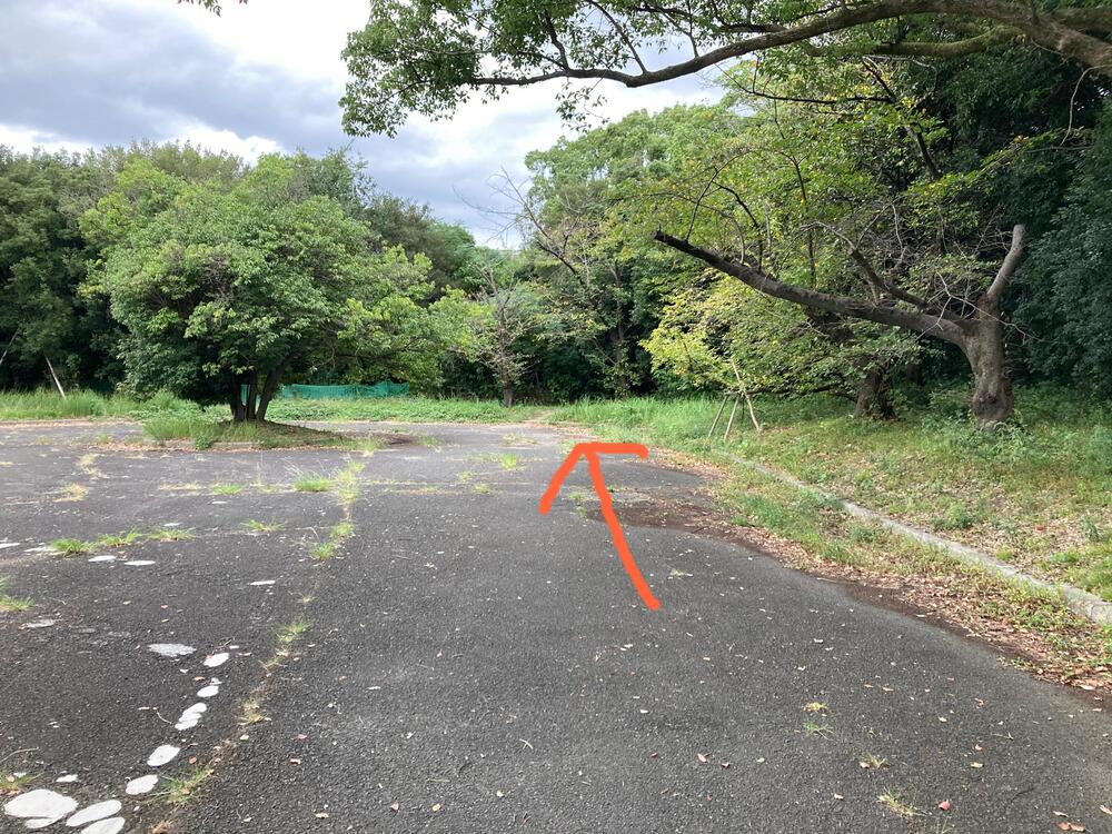 万博記念公園 トレイルコースの写真13