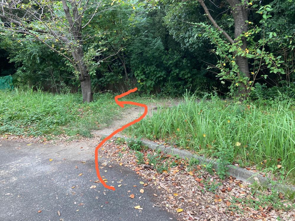 万博記念公園 トレイルコースの写真14