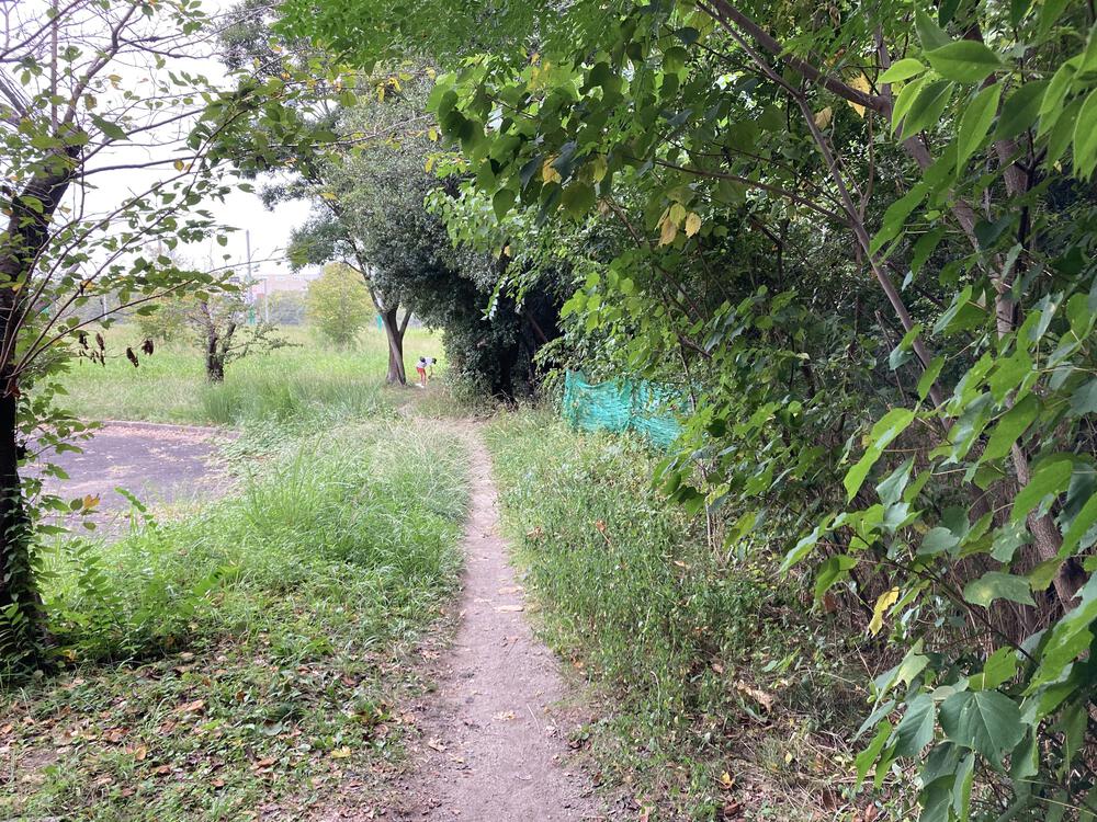 万博記念公園 トレイルコースの写真15