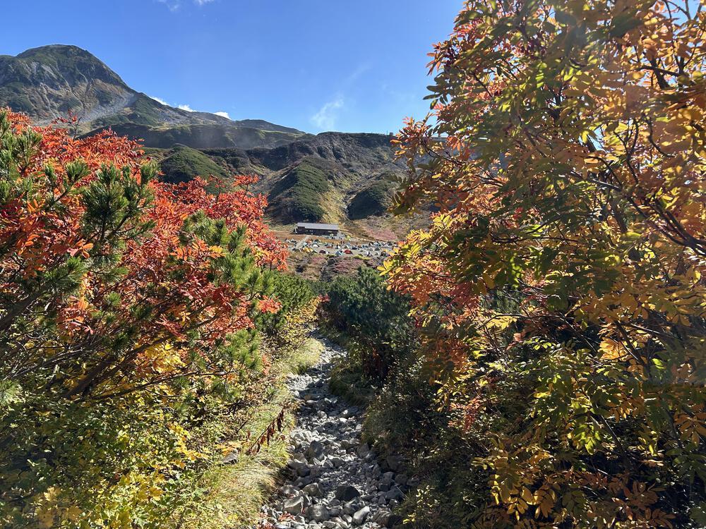 雲上の楽園　立山縦走からの周回コースの写真15