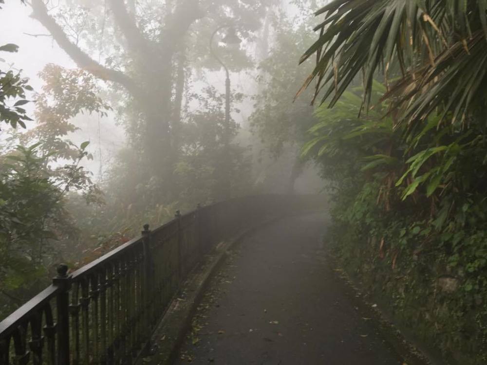 【香港】ビクトリアピーク制圧の写真3